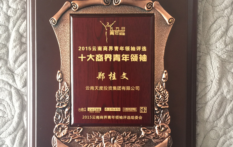 在“互聯(lián)網(wǎng)大時代”的背景下，天度作為本土很大和很有名的互聯(lián)網(wǎng)服務(wù)企業(yè)，為近萬家傳統(tǒng)企業(yè)轉(zhuǎn)型互聯(lián)網(wǎng)+提供了服務(wù)和幫助，獲此獎項后，我們將再接再厲，創(chuàng)造更高的社會價值